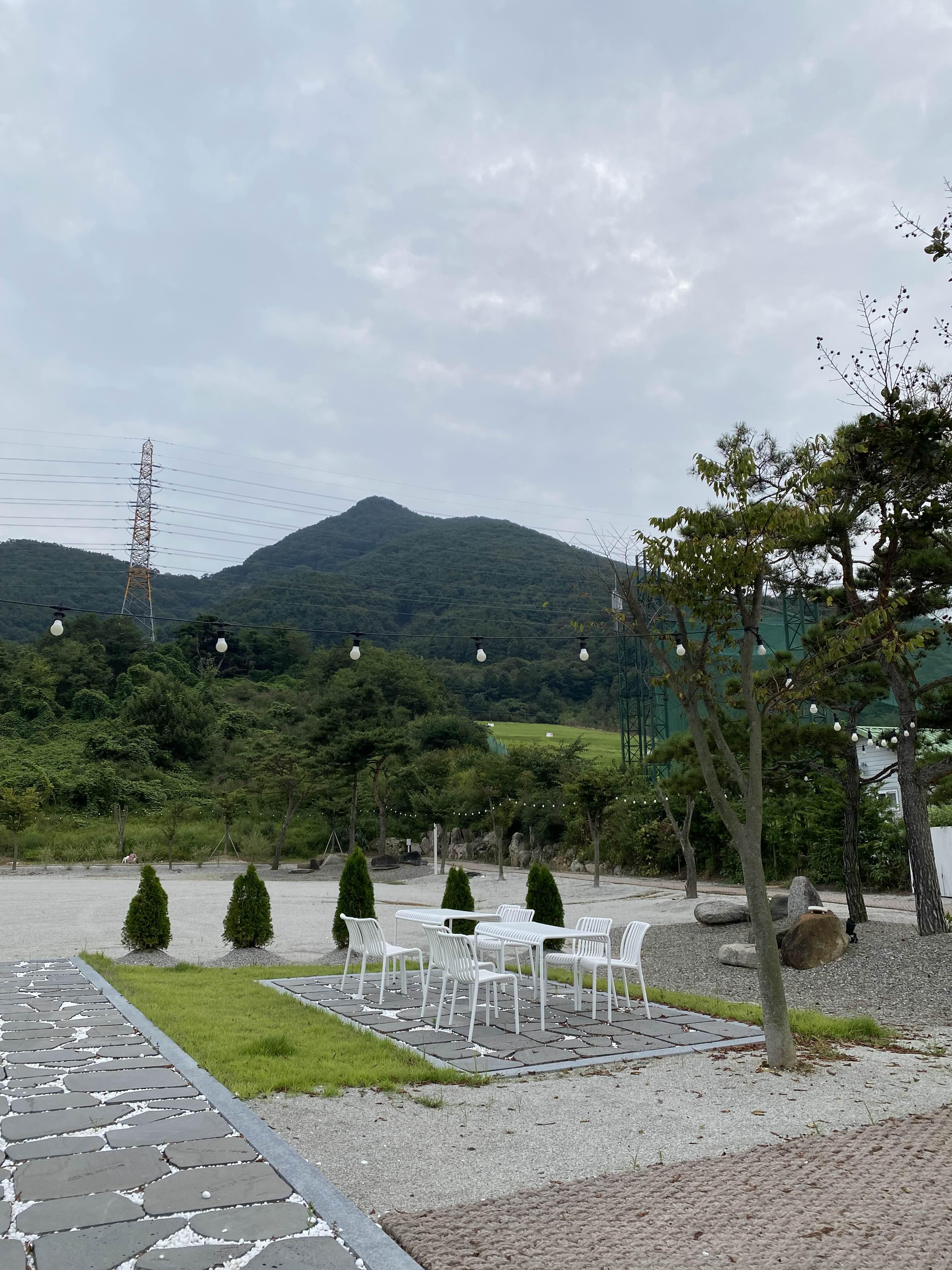 alt 태그