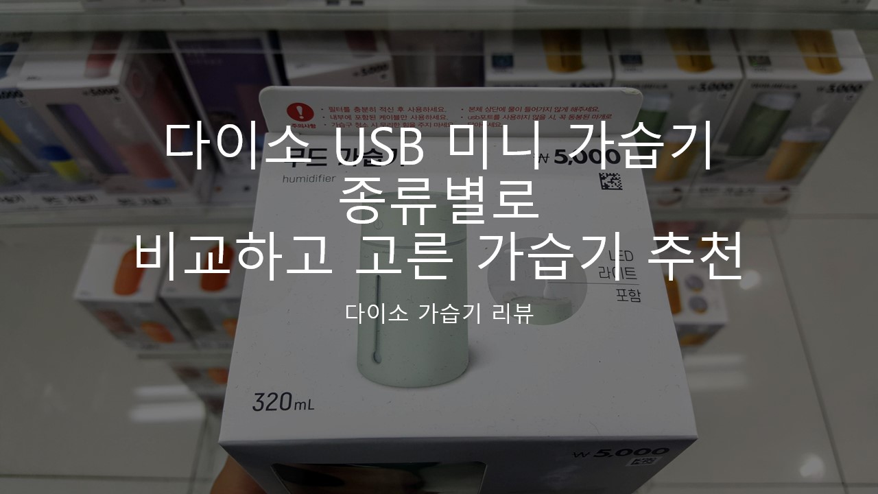  다이소 USB 미니 가습기 종류별 비교하고 결국 고른 가습기 리뷰 추천 후기/ 가습기 수돗물 VS 생수 (Feat. 다이소 목동역점)