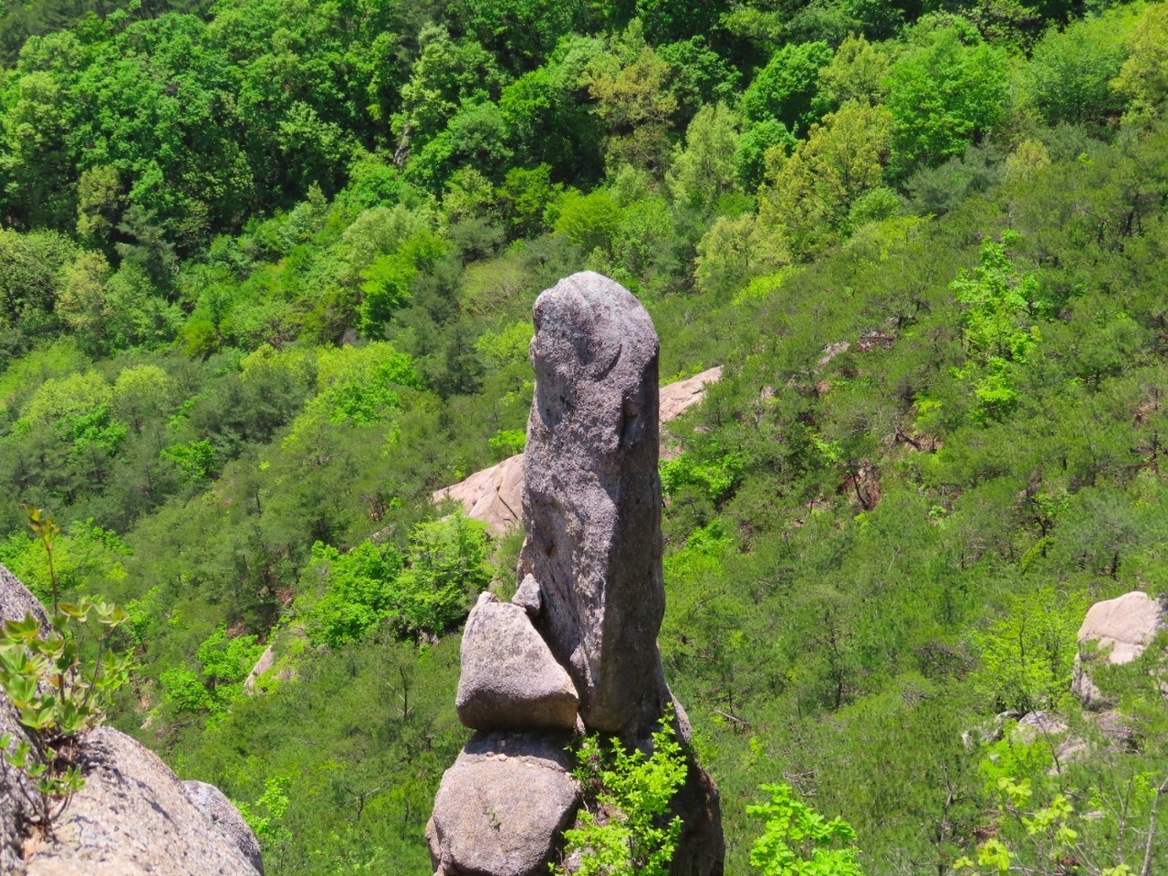 블랙야크 100+, Y출렁다리, 43