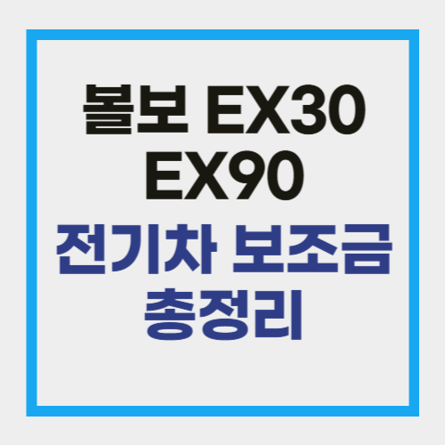 2025 볼보 EX30 전기차 보조금 총정리