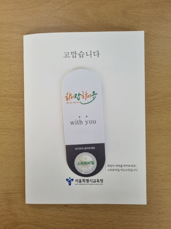  재미있는 바질 이야기_사무실에서 스위트바질 씨앗 심고 관찰 키우기 1