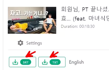 downsub-유튜브-자막-다운로드