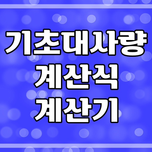  기초대사량 계산 방법_다이어트 기초대사량 계산기 (177번)