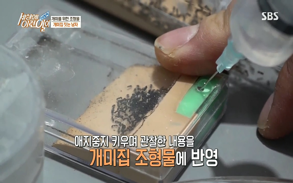 순간포착 세상에 이런일이.E1193.220816.H265p-BULDU.mp4_20220817_202758.845.jpg