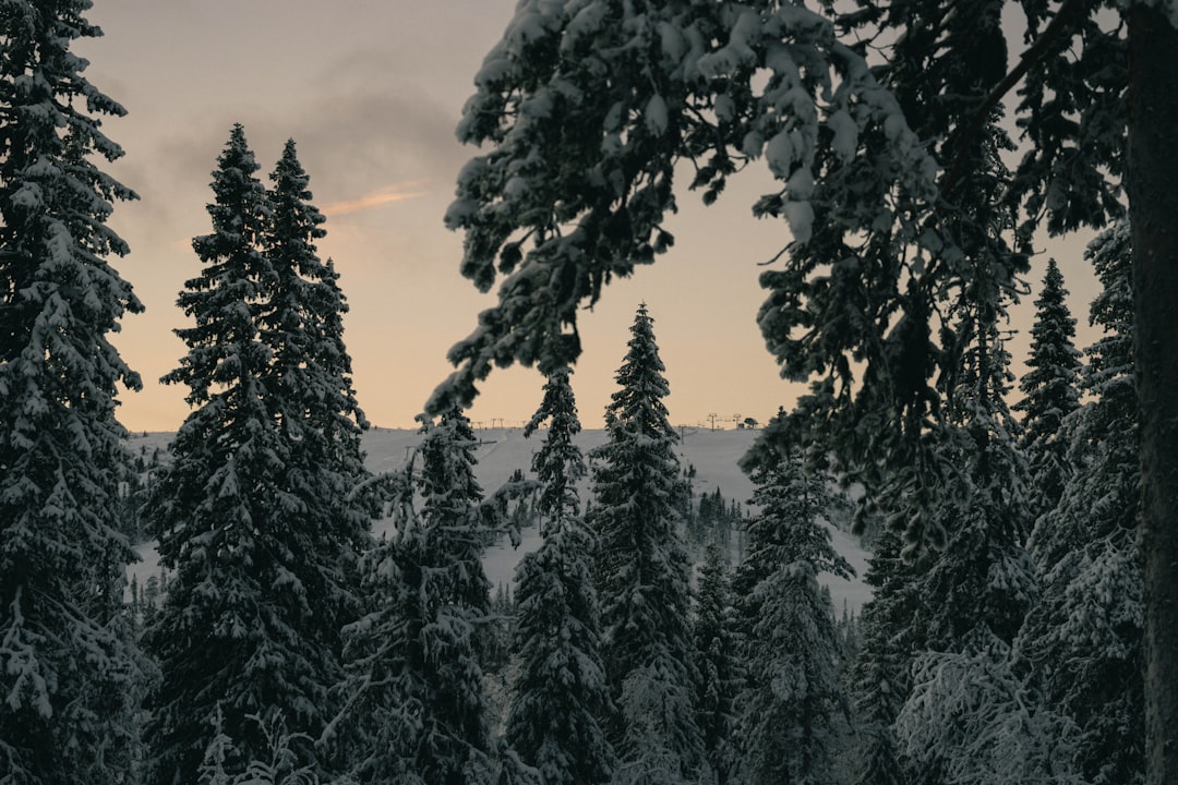 Peak season