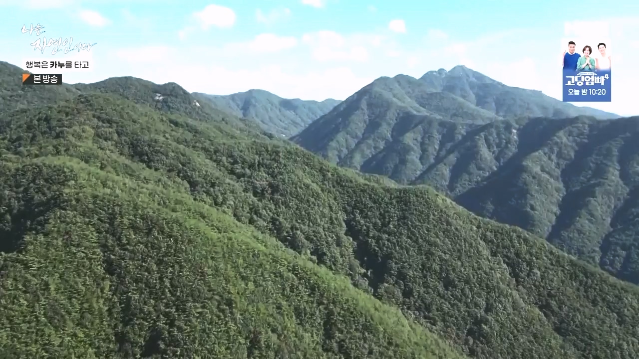나는 자연인이다.E576.231019p-NEXT.mp4_20231019_201409.102.jpg