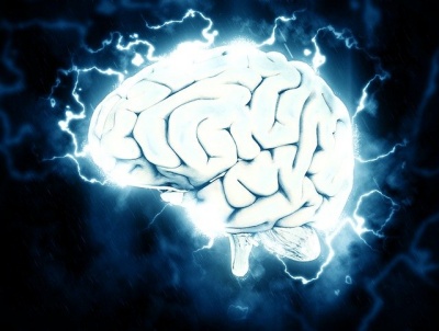 뇌-전기