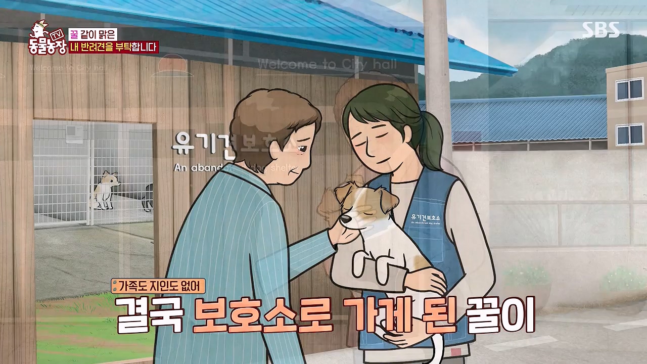 TV 동물농장.E1174.240603p-NEXT.mp4_20240602_155740.749.jpg