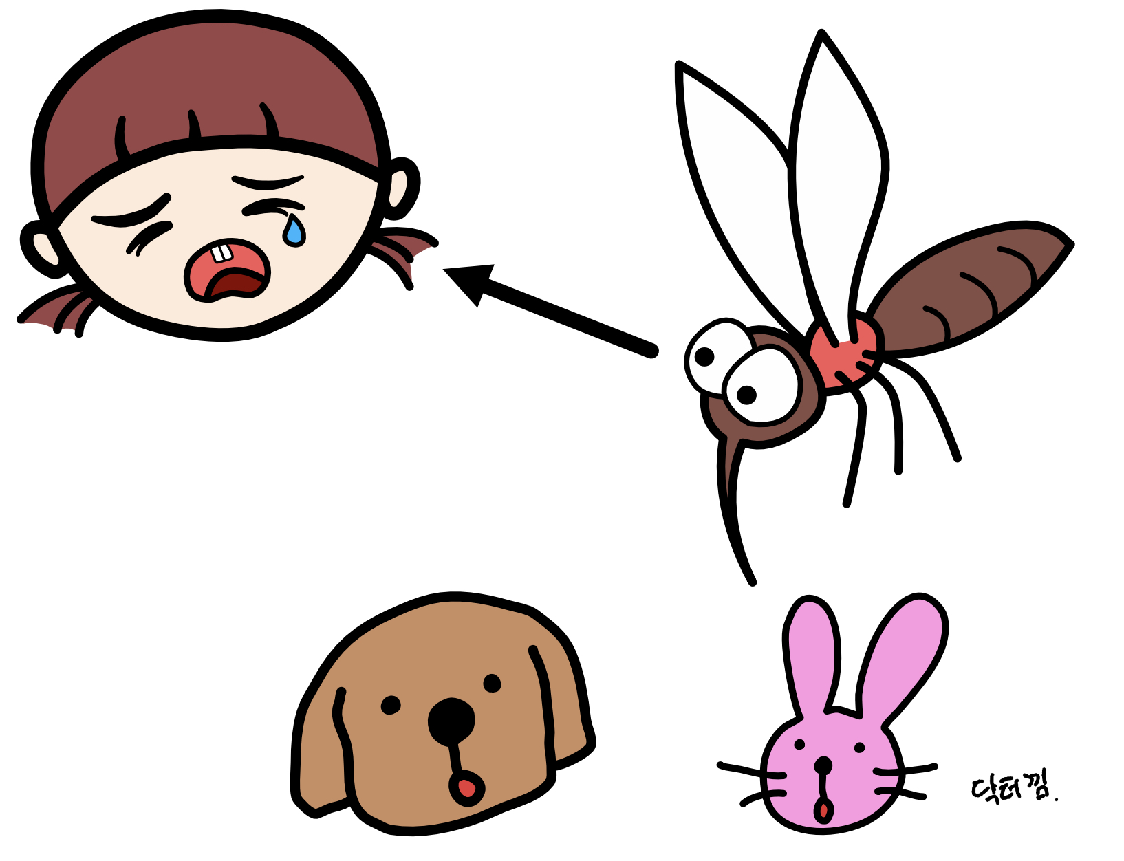  The story of the mosquito who prefers humans (the Aedes aegypti mosquito, which carries dengue fever and Zika virus)
