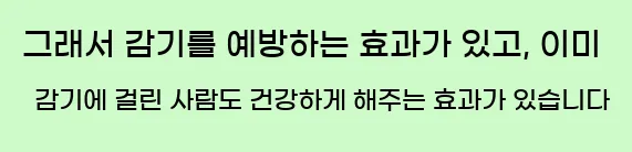  그래서 감기를 예방하는 효과가 있고, 이미 감기에 걸린 사람도 건강하게 해주는 효과가 있습니다