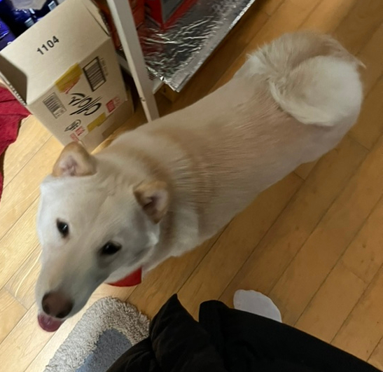 스포츠 마사지 "커피앤힐링 마사지" [인천 연수구] 시원한 4