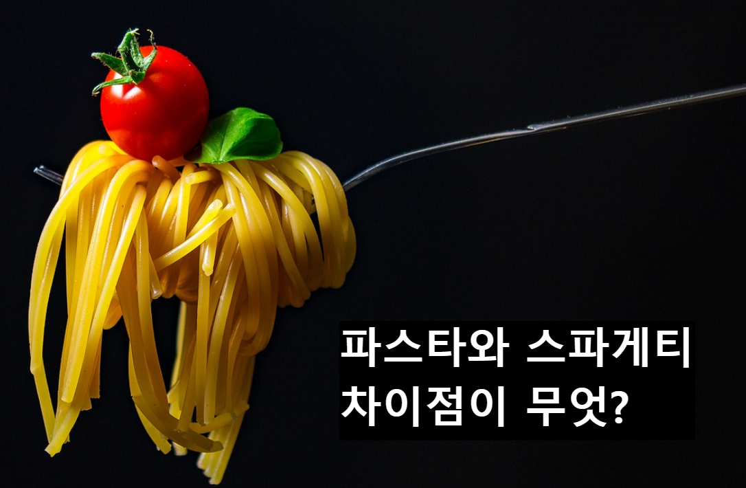  파스타와 스파게티 뭐가 다를까?