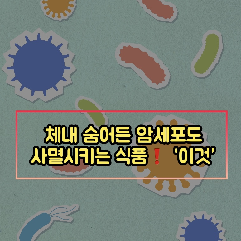  '이것' 먹으면 체내 숨어든 암세포 사멸!