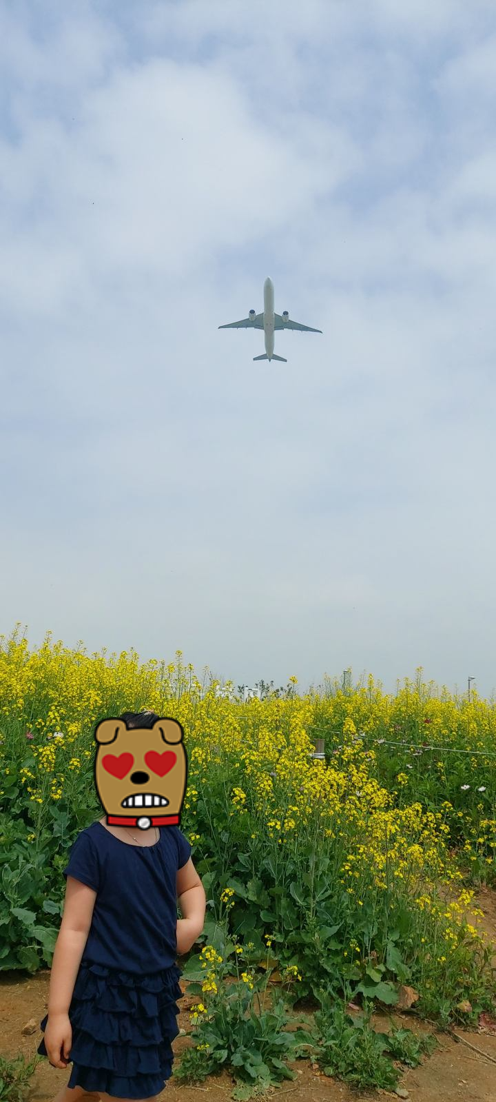 인천토박이가 알려주는 인천가볼만한곳- 인천국제공항하늘정원