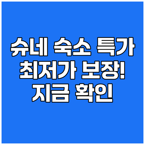 슈네버딩겐 숙소 최저가 보장 특가 정