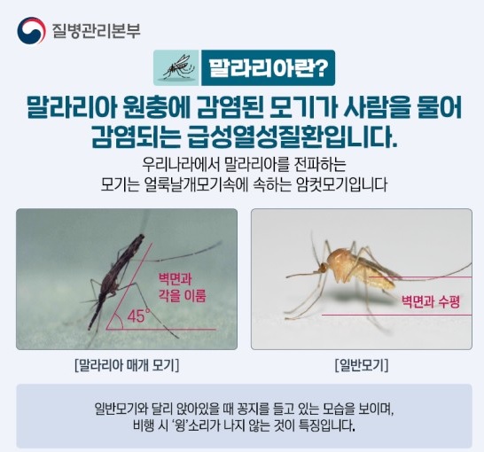 질병 관리본부의 말라리아 설명