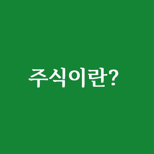  주식이란?