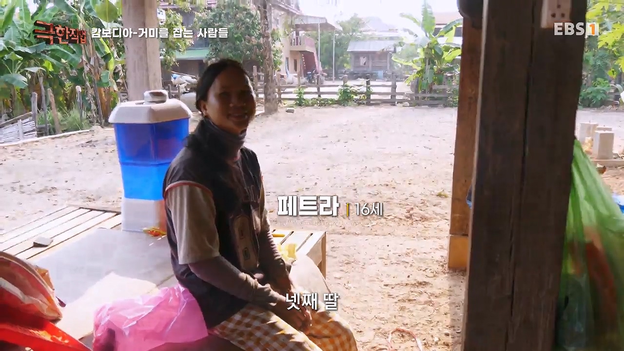 TV - 전 국민의 평생학교 EBS캄보디아 - 독충을 잡는 사람들.mp4_20230501_171604.467.jpg