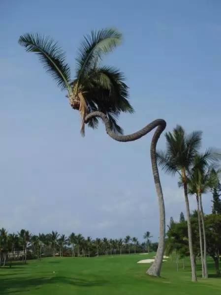 img.jpg