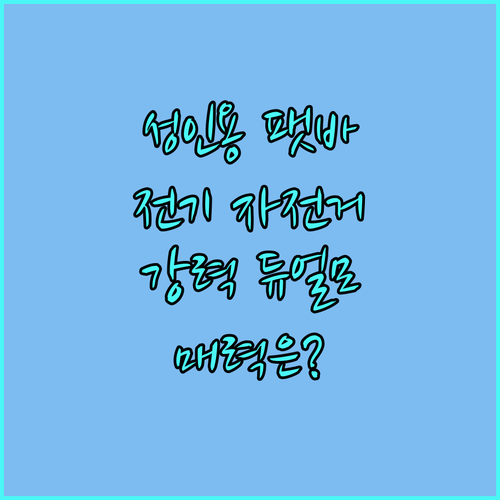 성인용 팻 타이어 전기 자전거 강력한