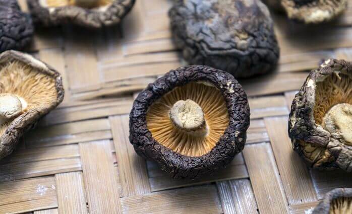 대나무 재질의 무언가 위에 놓여있는 건표고버섯들 