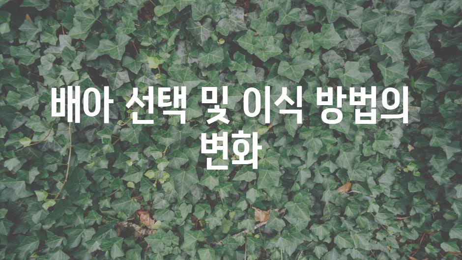 배아 선택 및 이식 방법의 변화