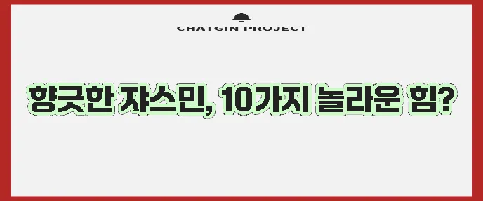 쟈스민 효능 10가지 이제 확실히 알아볼까요?