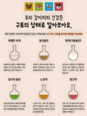 강아지 토 색깔 증상 강아지 토하는 원인과 구토 종류별 건강상태 살펴보기_11