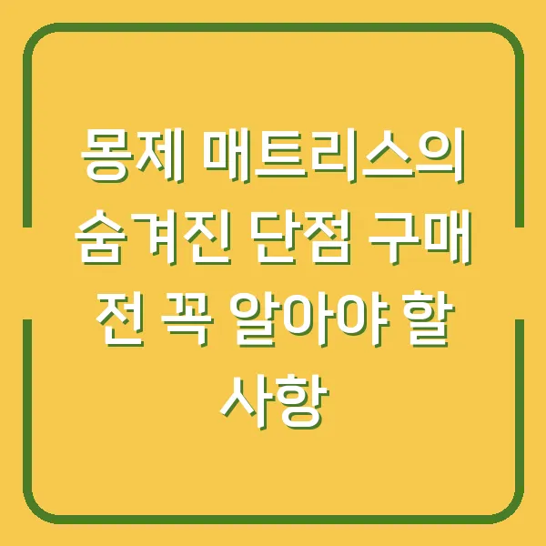 몽제 매트리스의 숨겨진 단점 구매 전 꼭 알아야 할 사항