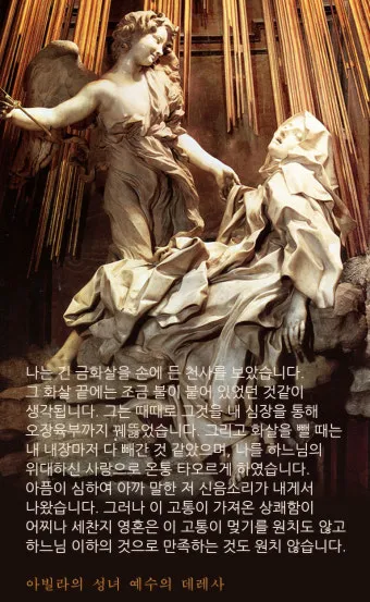 성녀 데레사의 영성: 작은 길의 위대한 가르침_8