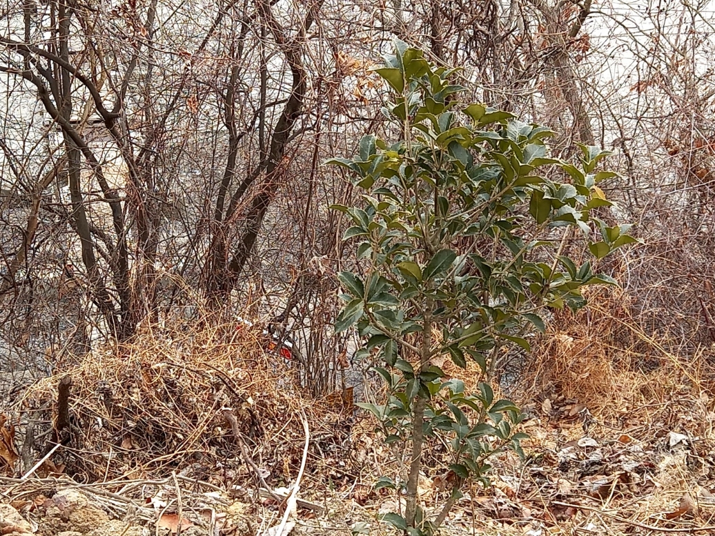 img.jpg