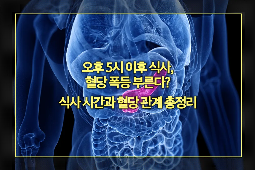 오후 5시 이후 식사 혈당 폭등 관계 총정리