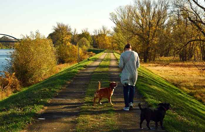 공원길을 따라 강아지 두 마리와 산책을 하고 있는 한 여자