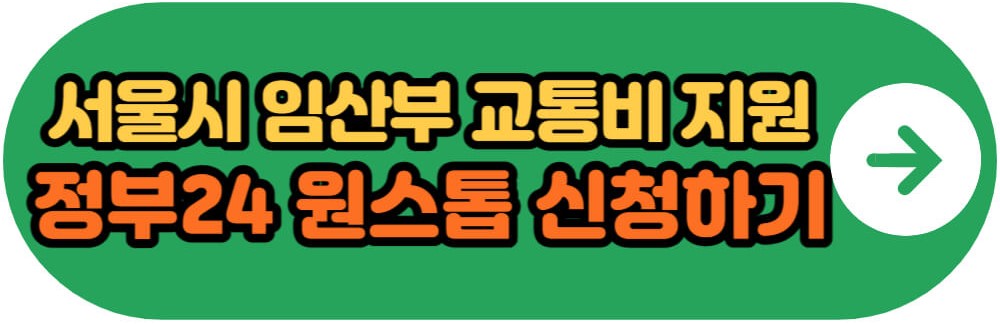 서울시 임산부 교통비 지원 정부24 원스톱 신청하기