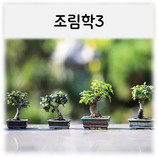조림학3-분재4개