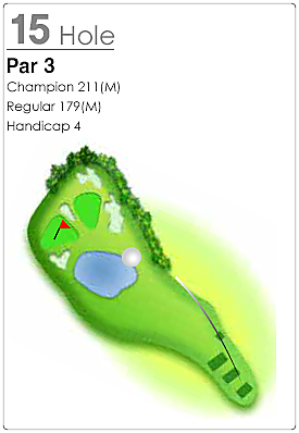 88CC 서 코스 15번 홀