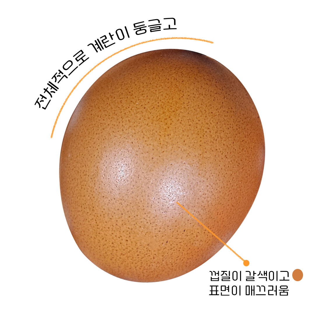 좋은계란 이미지