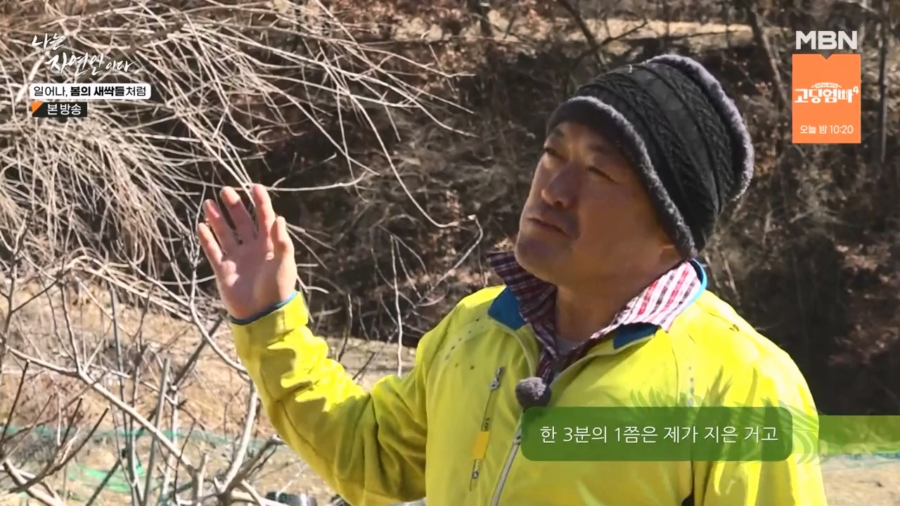 나는 자연인이다.E593.240215p-NEXT.mp4_20240215_200728.515.jpg