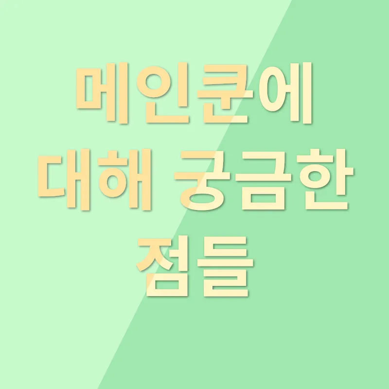 메인쿤 특징_4