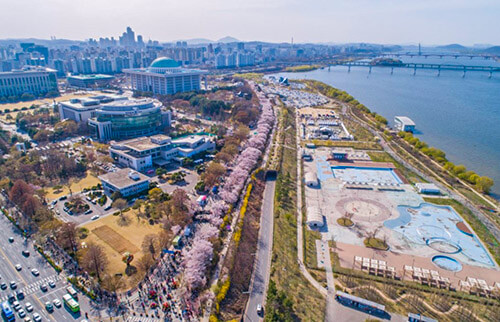 여의도-벚꽃축제