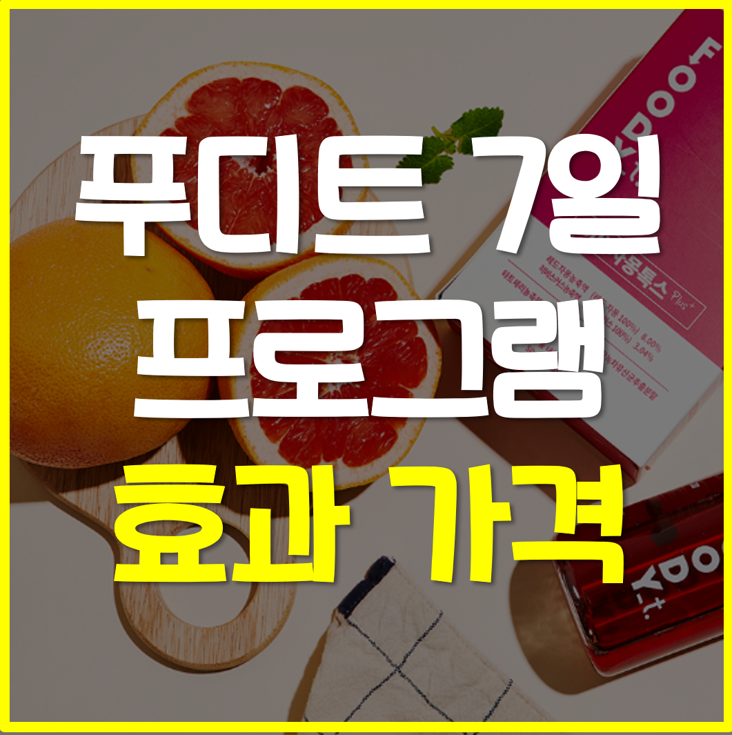  푸디트 7일 프로그램 효과 가격
