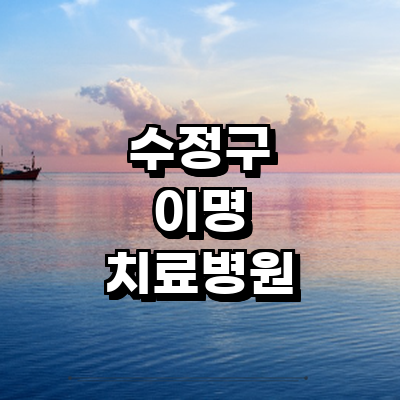 성남 수정구 이명