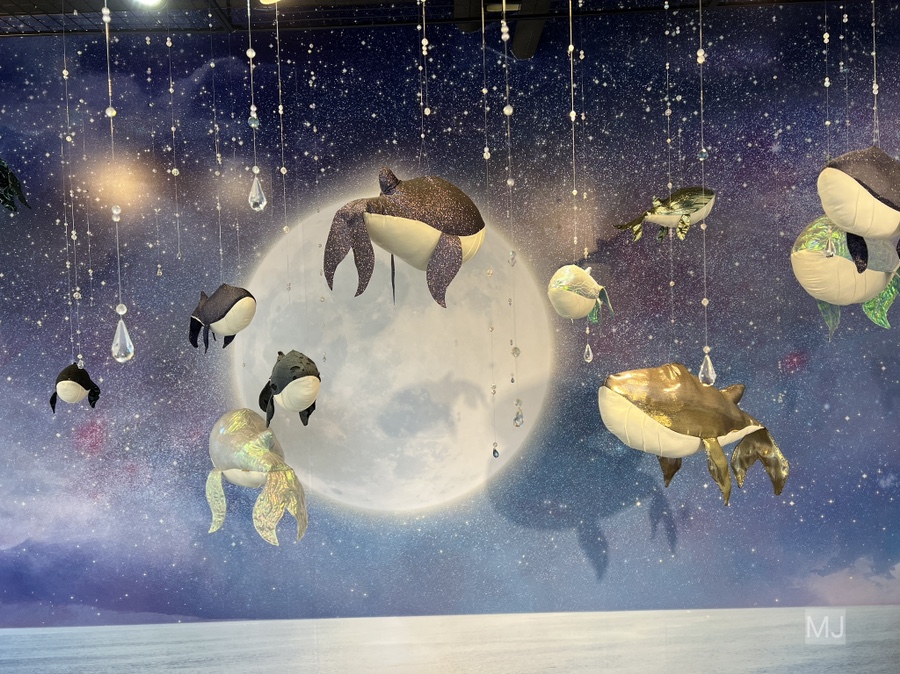 어린왕자 체험 in 감귤밭 카페 60