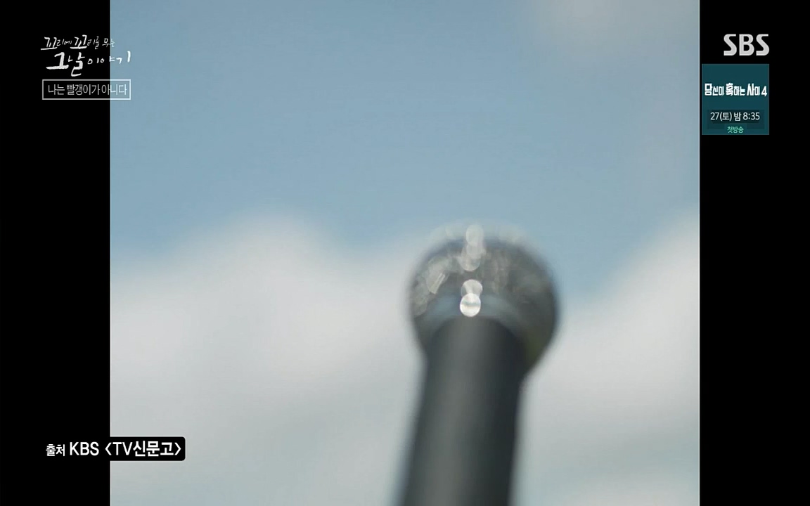 꼬리에 꼬리를 무는 그날 이야기.E42.220826p-NICE.mp4_20220826_180617.995.jpg