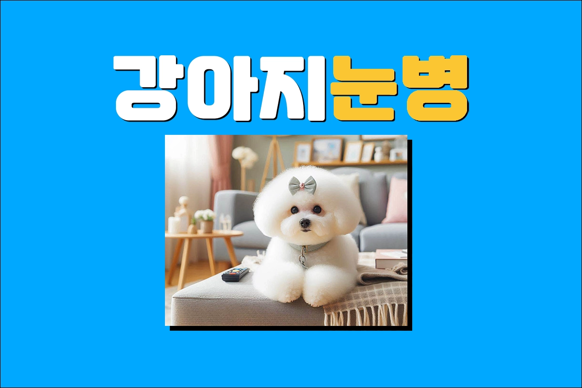 강아지 눈병 종류 원인 증상 합병증 치료방법 예방방법