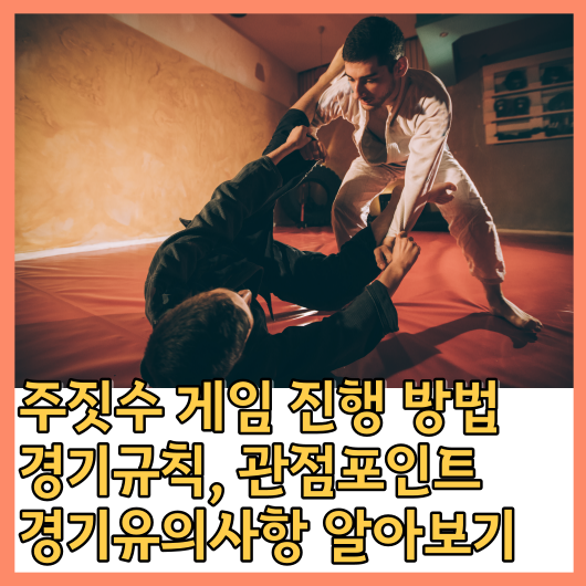  주짓수 (Jiu-Jitsu) 게임 진행 방법, 경기규칙, 관점포인트, 경기유의사항 알아보기