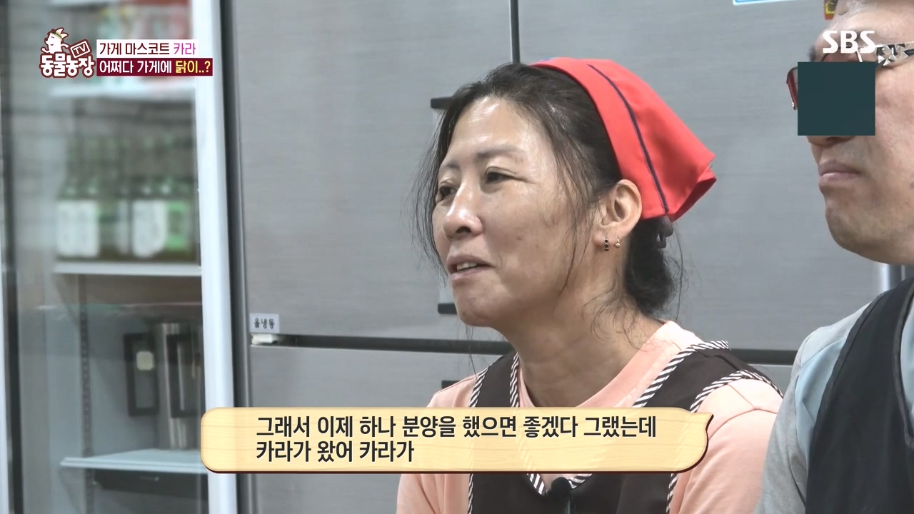 TV 동물농장.E1141.231016p-NEXT.mp4_20231015_173018.348.jpg