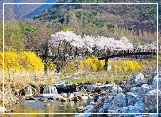 상소동 산림욕장