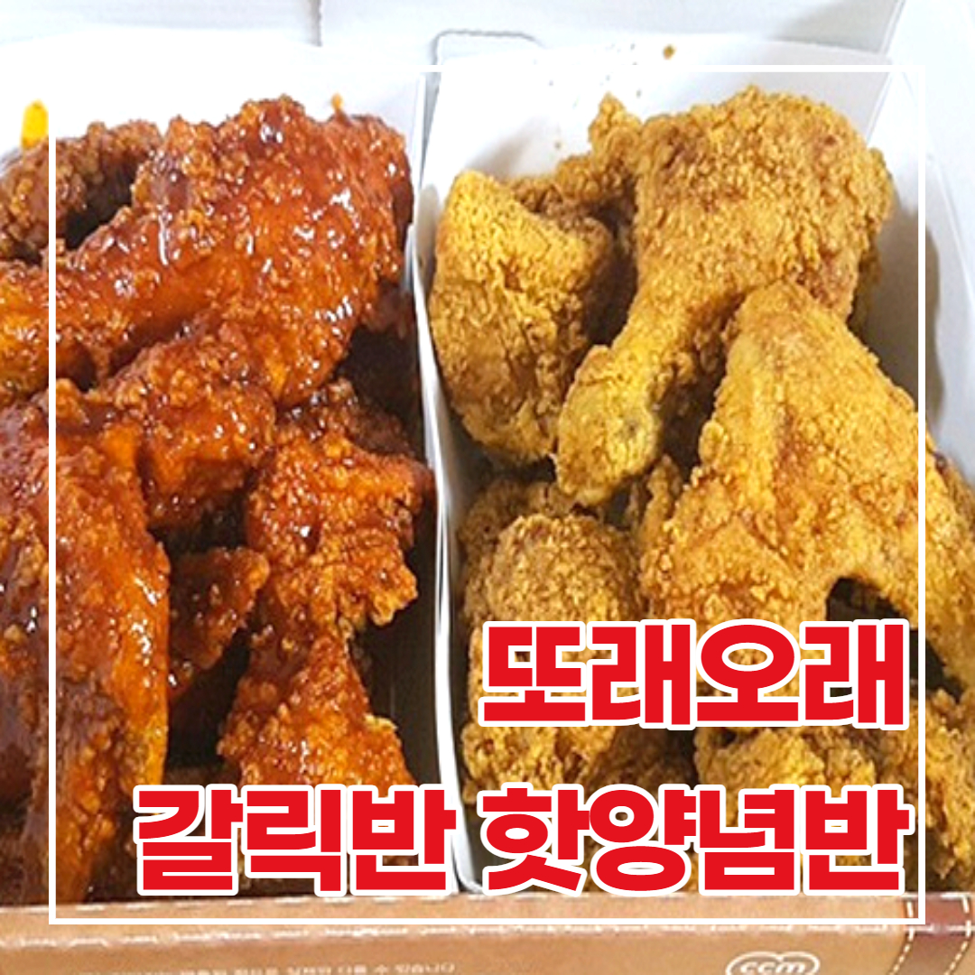  또래오래 갈릭반/핫양념반 후기