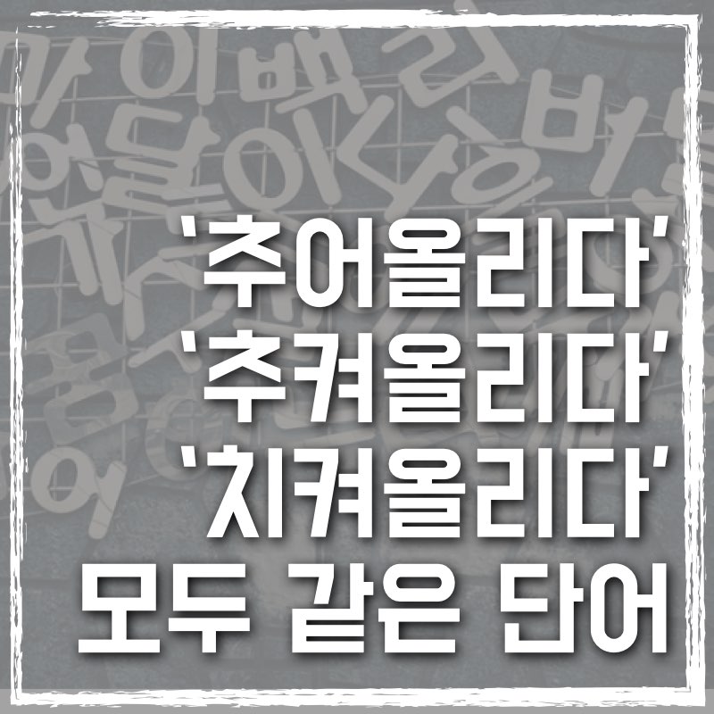 추어/추켜/치켜올리다는 모두 같은 단어